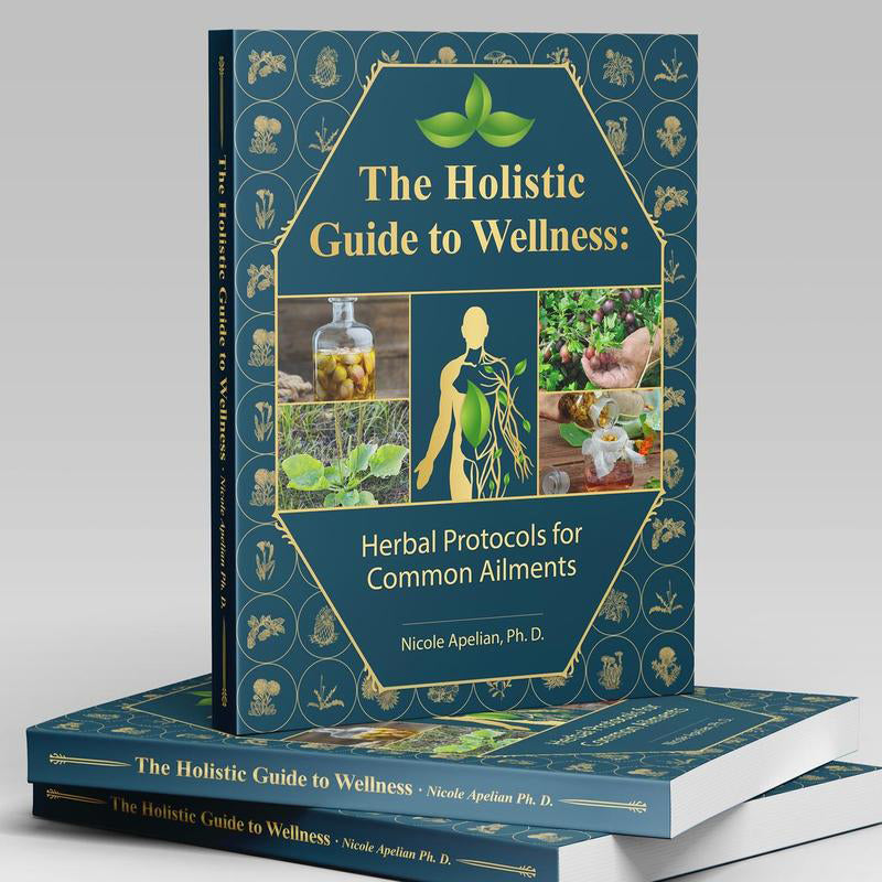 The Holistic Guide to Wellness: Herbal Protocols for Common Ailments