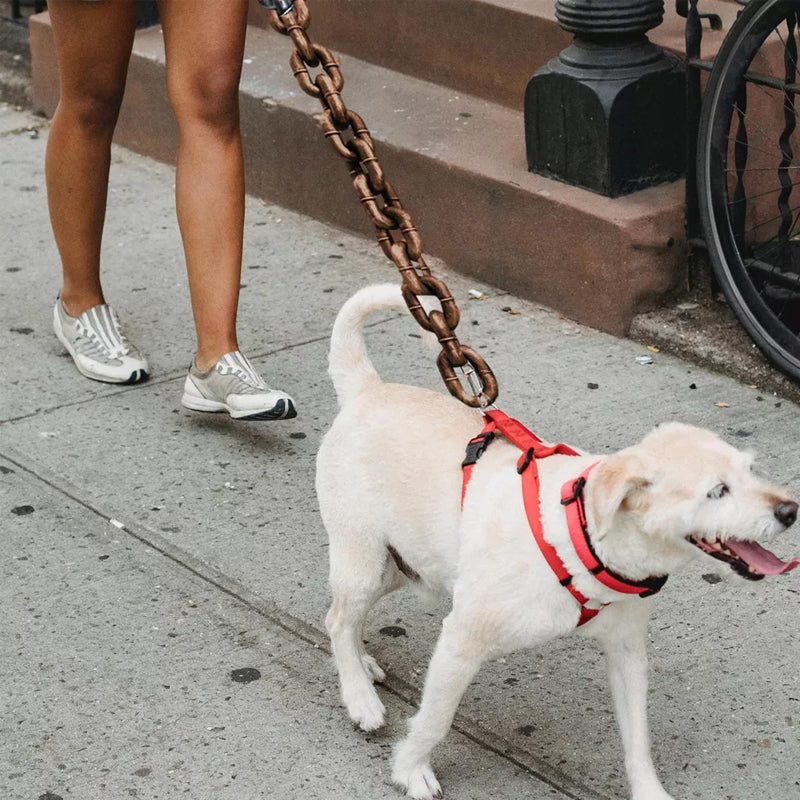 Funny Dog Leash