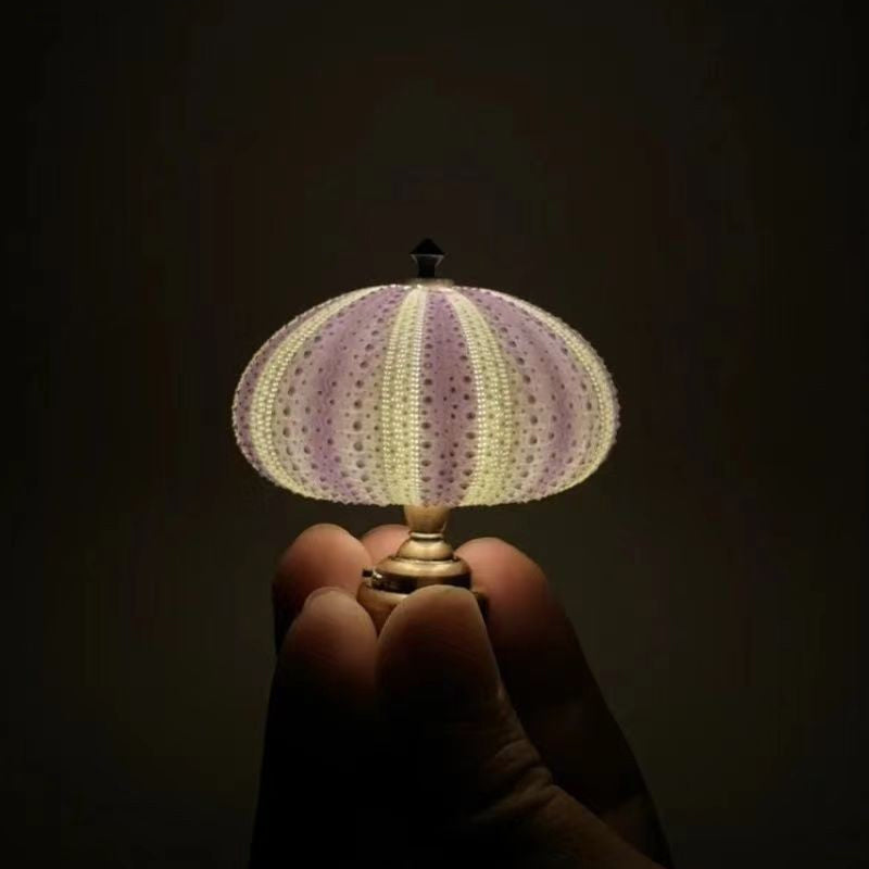 DIY Sea Urchin Night Light