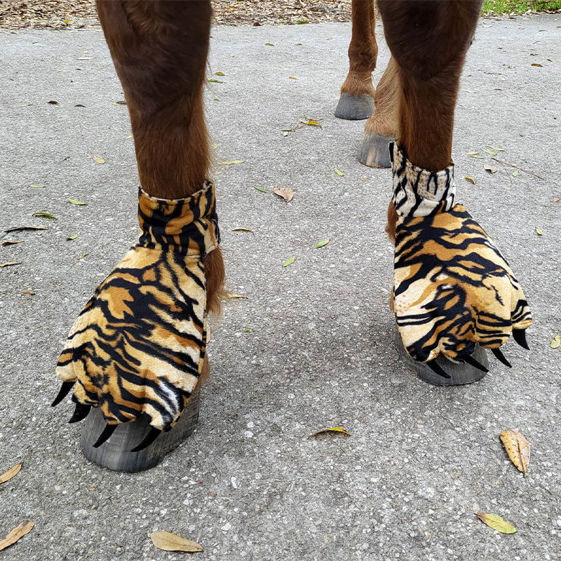 Funny Feet For Horse