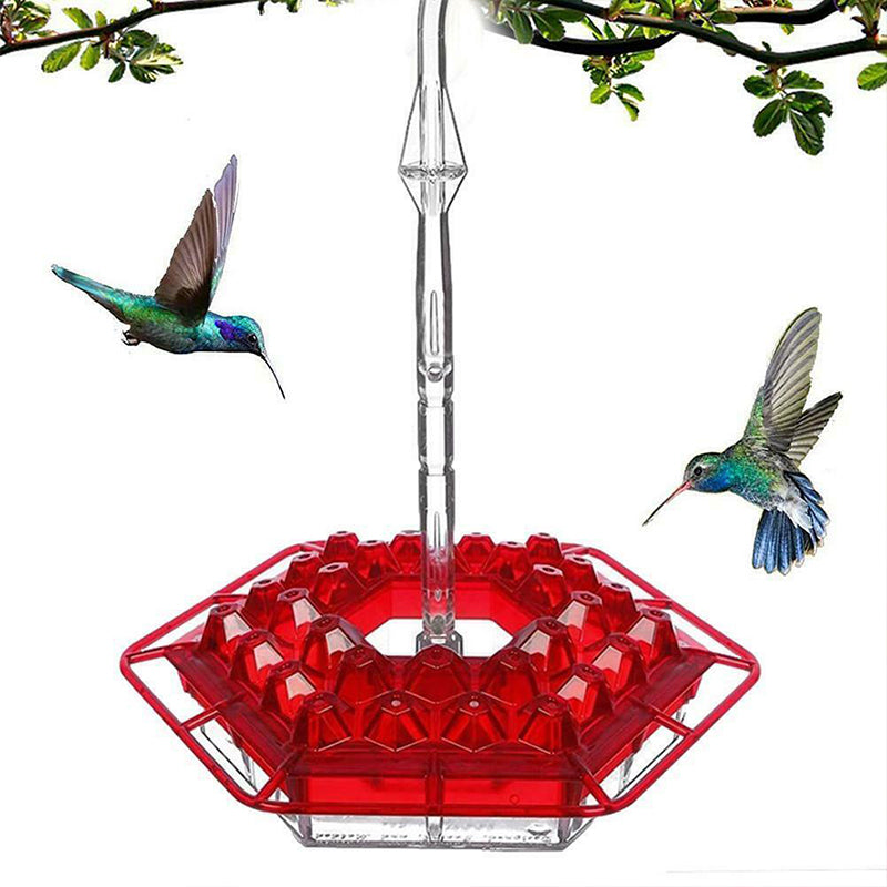 New Hummingbird Feeder