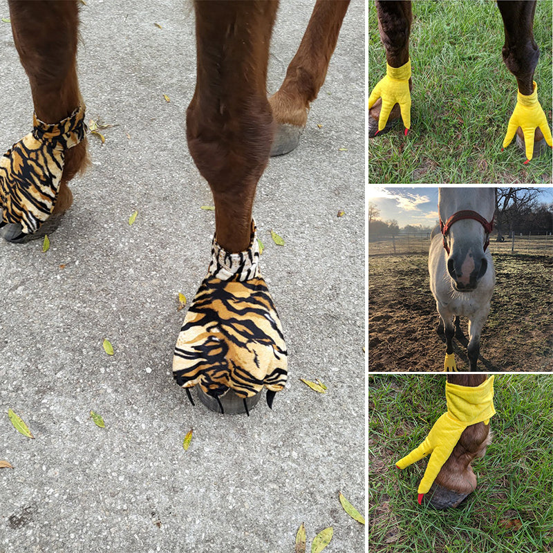 Funny Feet For Horse