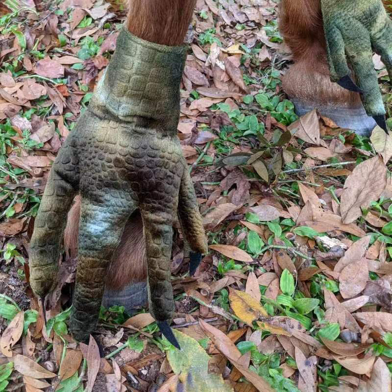 Funny Feet For Horse