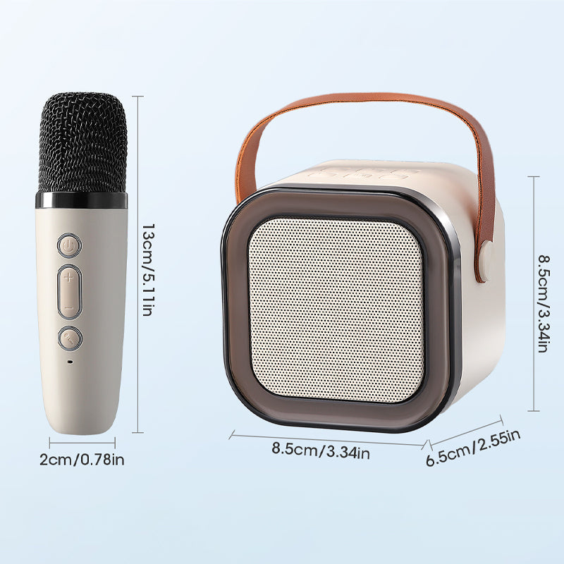 Portable Karaoke Machine With Wireless Microphones