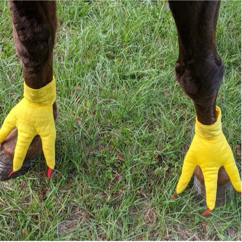 Funny Feet For Horse