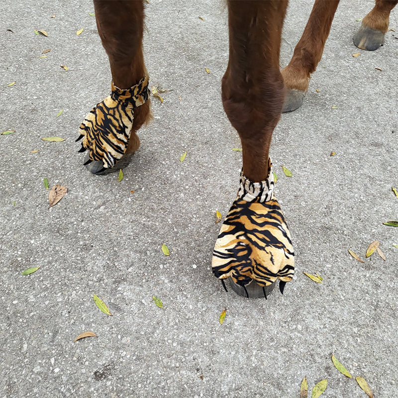 Funny Feet For Horse