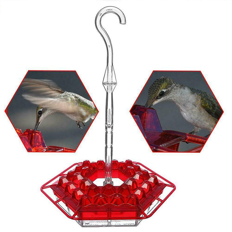 New Hummingbird Feeder