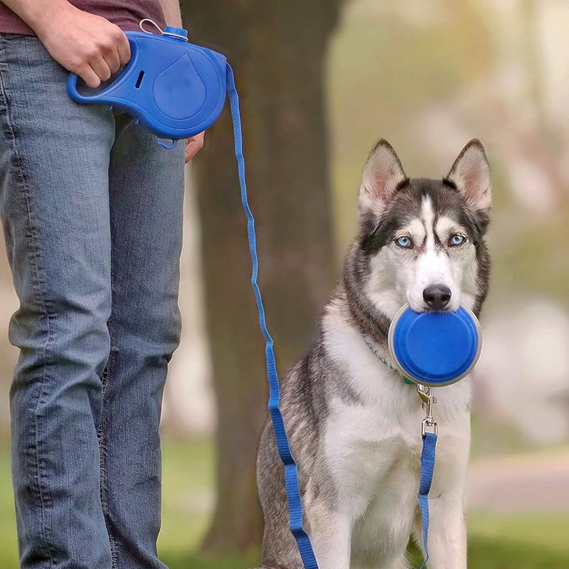 4 in 1 Dog Retractable Leash
