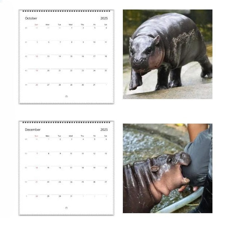 Moo Deng Calendar