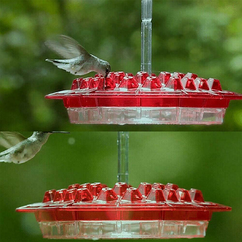 New Hummingbird Feeder