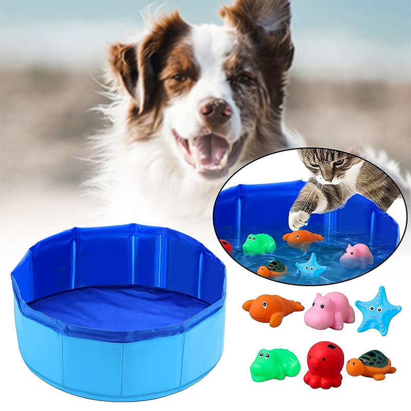 Folding pet pool with toys