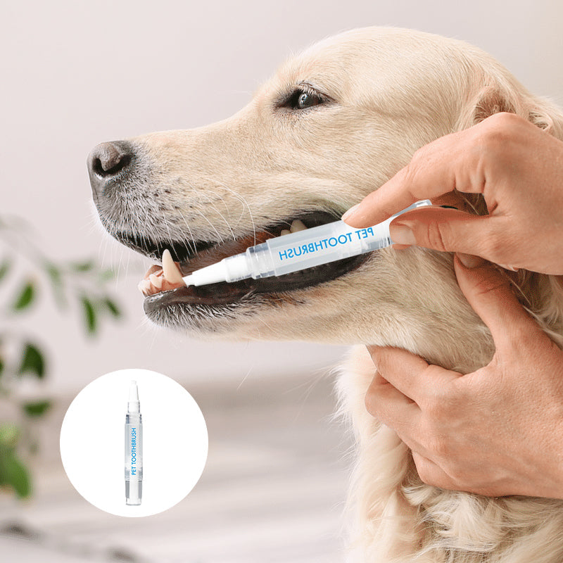 New Upgraded Pet Toothbrush Pen