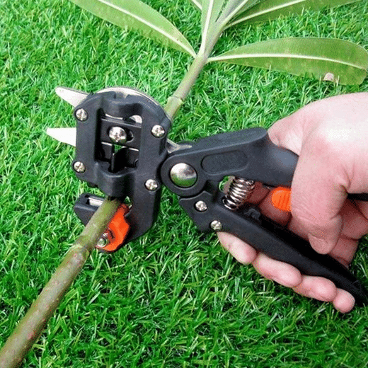 Domom® Professional Garden Grafting Tool Kit